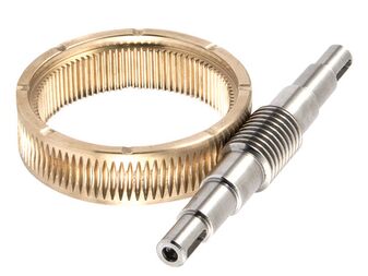 worm gear set